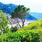 Guva Mangalem Boutique & Restaurant - Old Town Mangalem